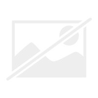 Die salier und - salier, 3